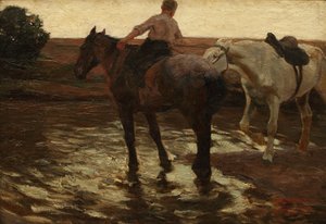 Paarden